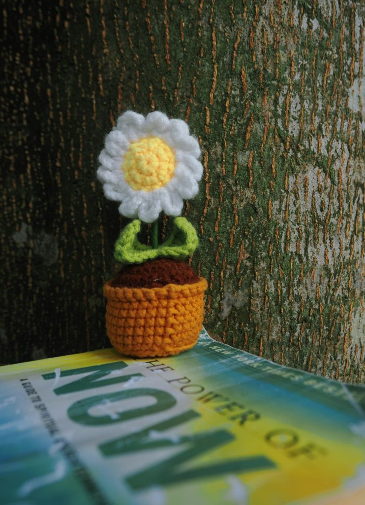 Crocheted Monstera